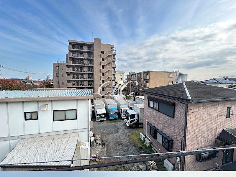 Woody Chaleur その他6