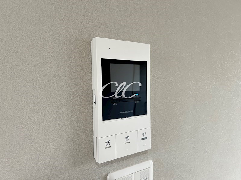 Woody Chaleur その他4