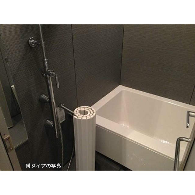 コンフォリア門前仲町 風呂画像