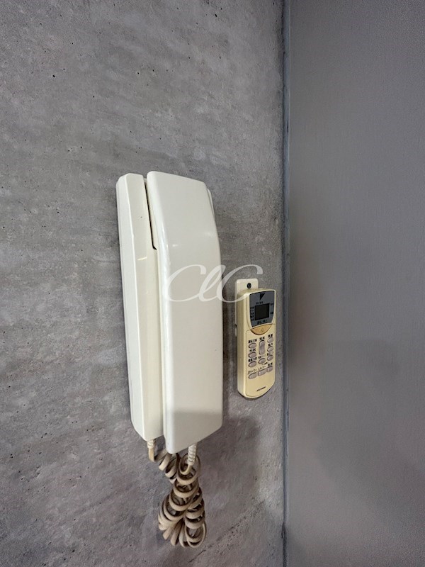 Little Rock Village（リトルロックヴィレッジ） その他6