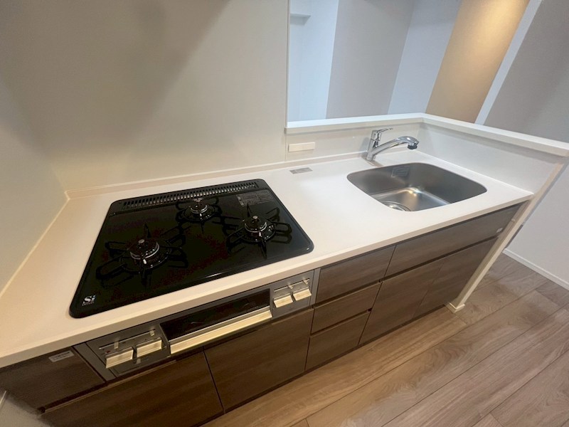 S-RESIDENCE浅草diverse その他13