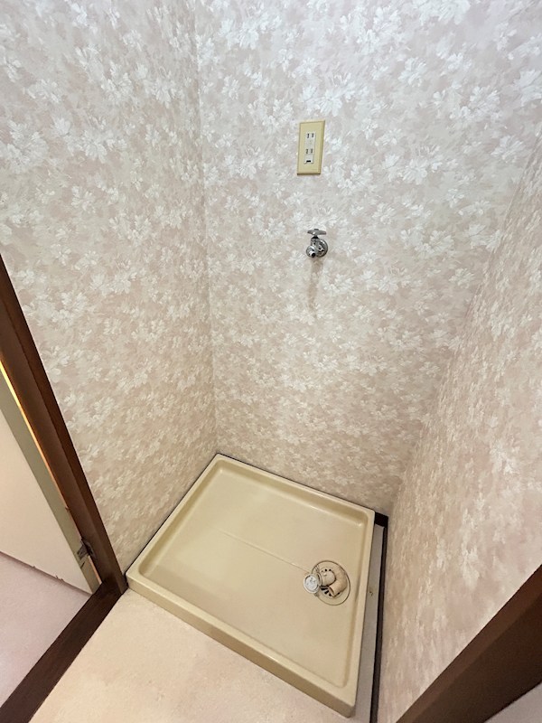 シェモア・モリタ その他4