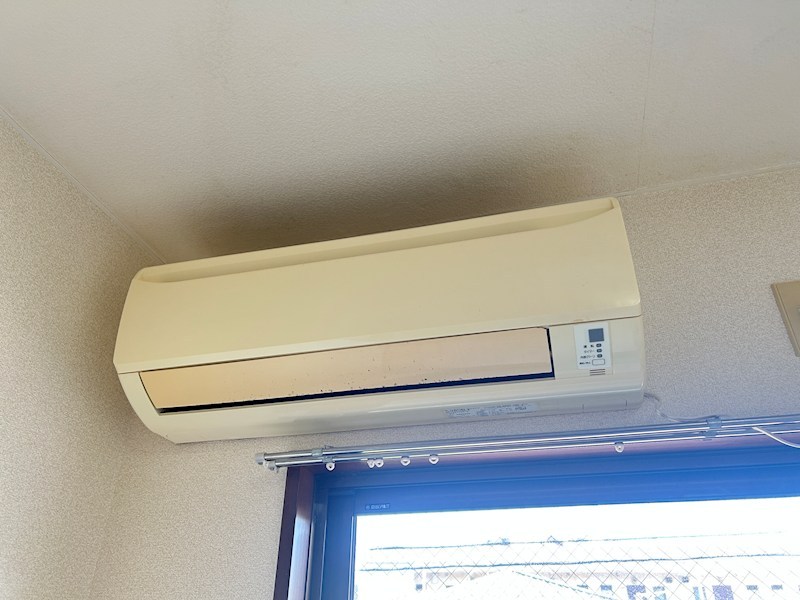 シェモア・モリタ その他12