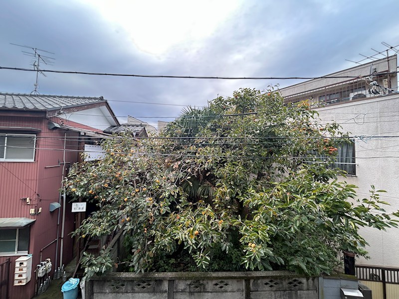 ハイネス杉浦 その他8