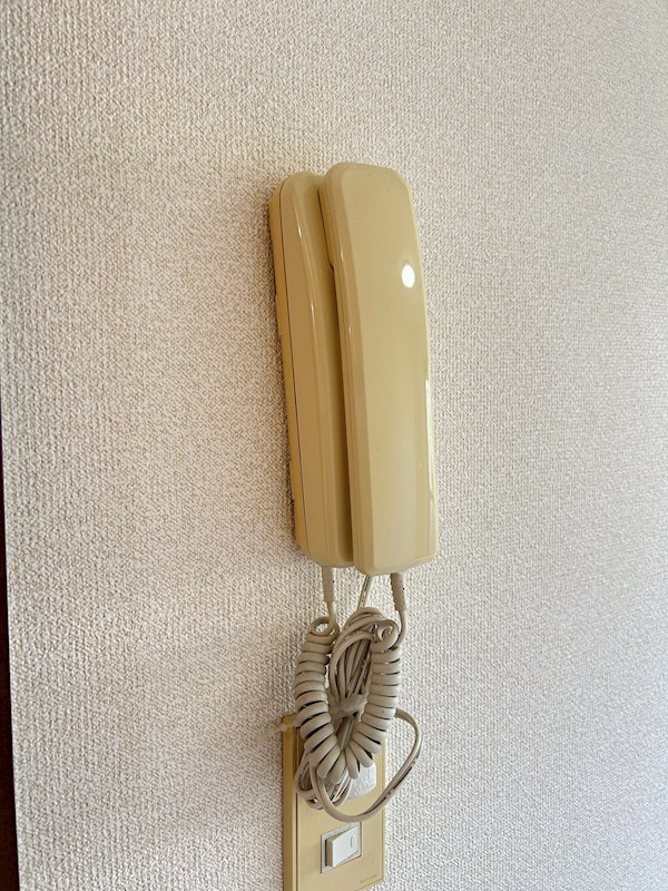 シェモア・モリタ その他5