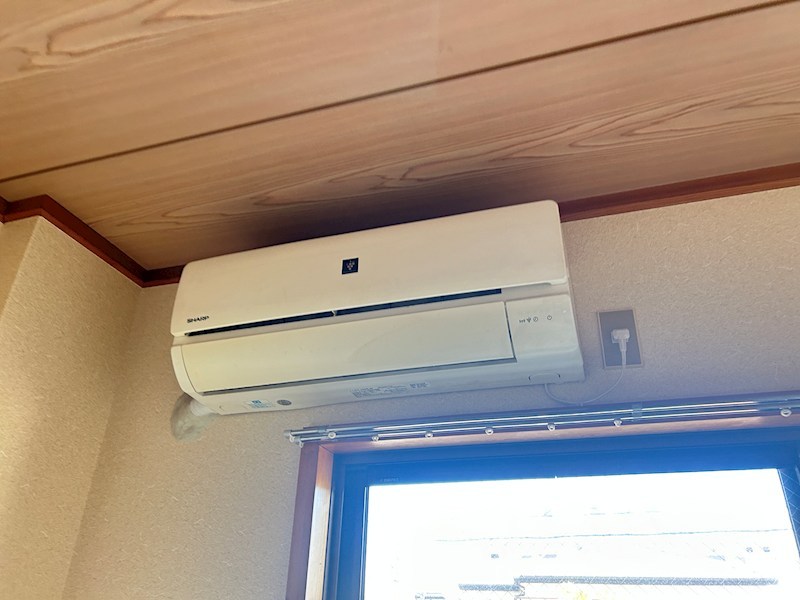 シェモア・モリタ その他14