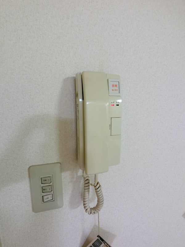Victory suzuki その他15