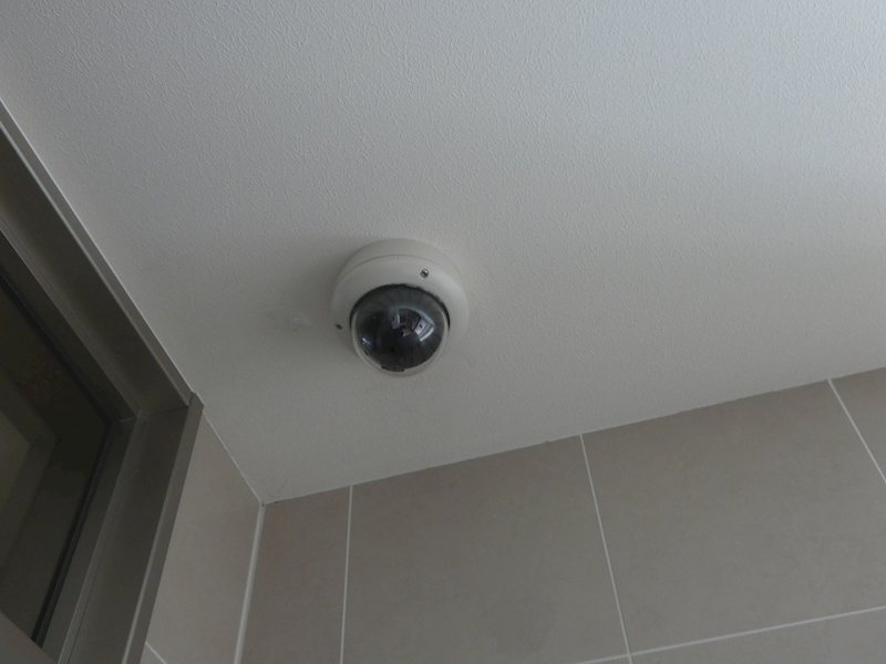 Ｐｌａｉｓｉｒ　Ｏｈｎｕｋｉ その他4