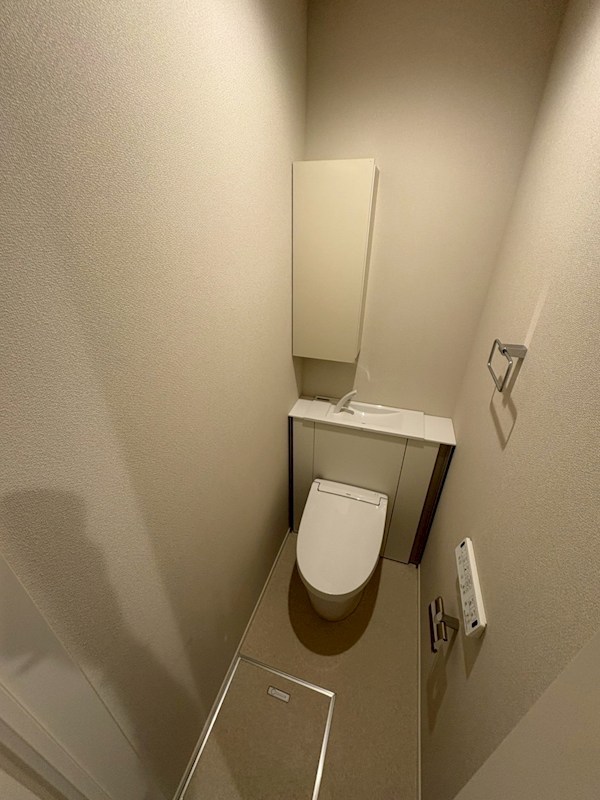 ｌ&amp;rsquo;ａｍｉ　ｄｅ　Ｌｉｏｎ その他1