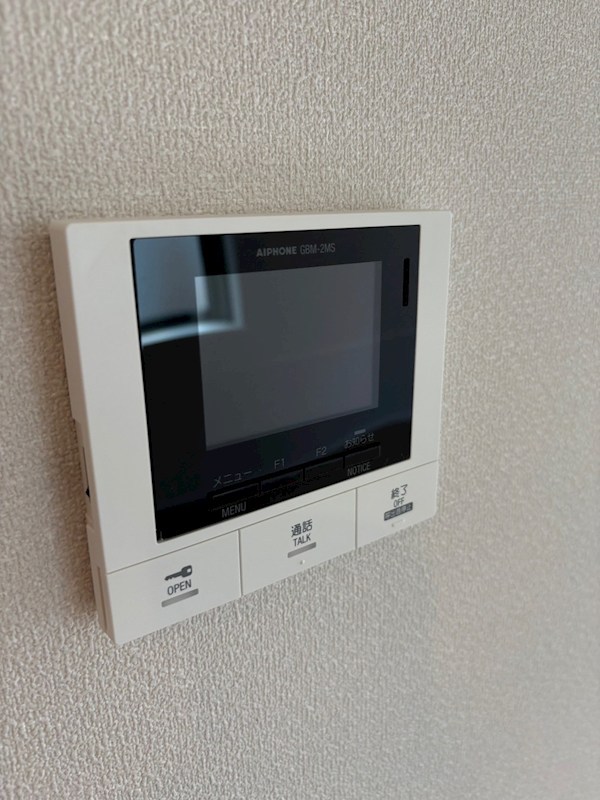 ｌ&amp;rsquo;ａｍｉ　ｄｅ　Ｌｉｏｎ その他4