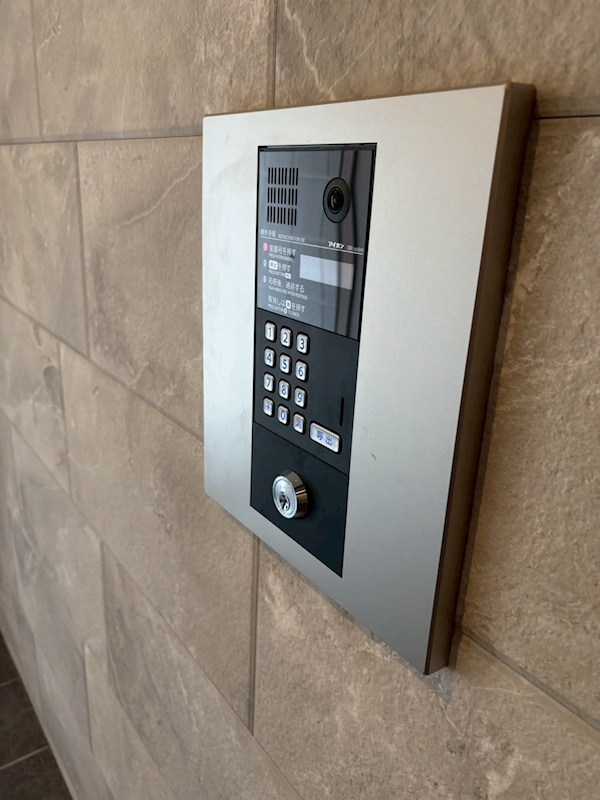 ｌ&amp;rsquo;ａｍｉ　ｄｅ　Ｌｉｏｎ その他14