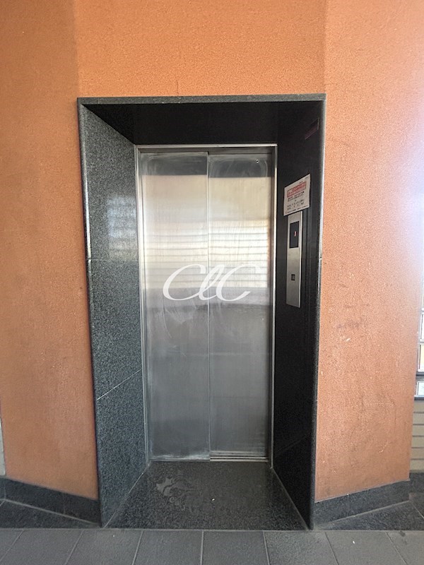 花由館 その他13