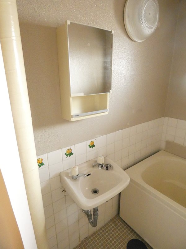 大新マンション その他3