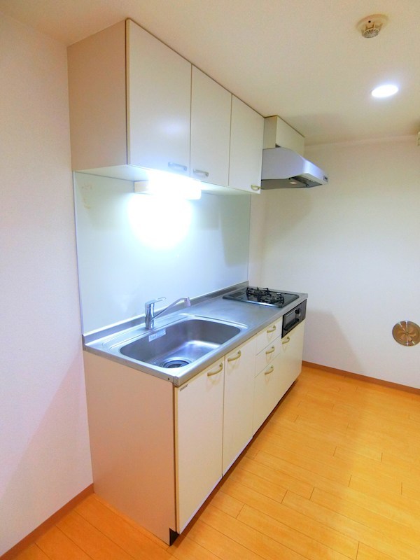 ドエルしのざき キッチン