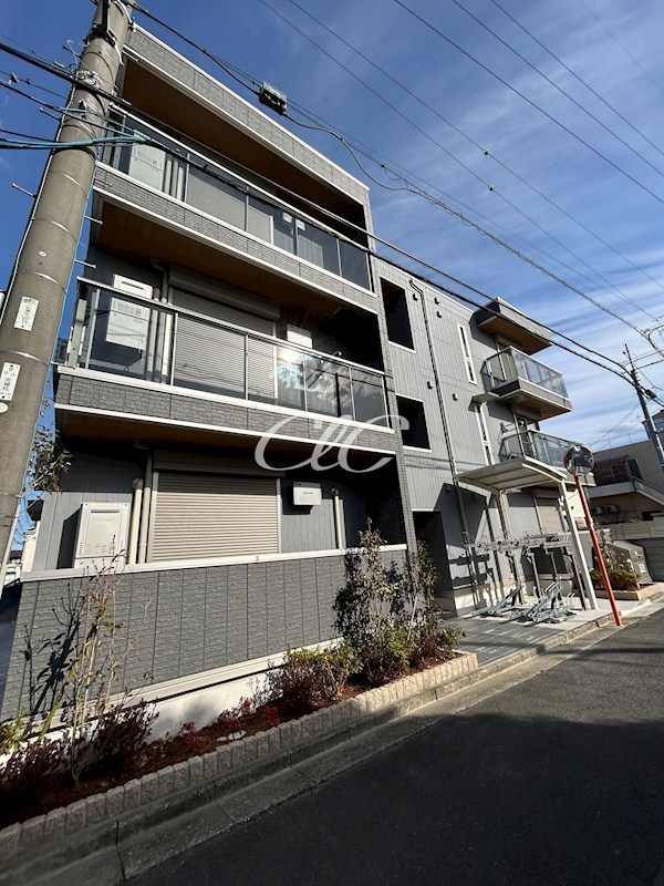 カサベルテ鹿骨 外観