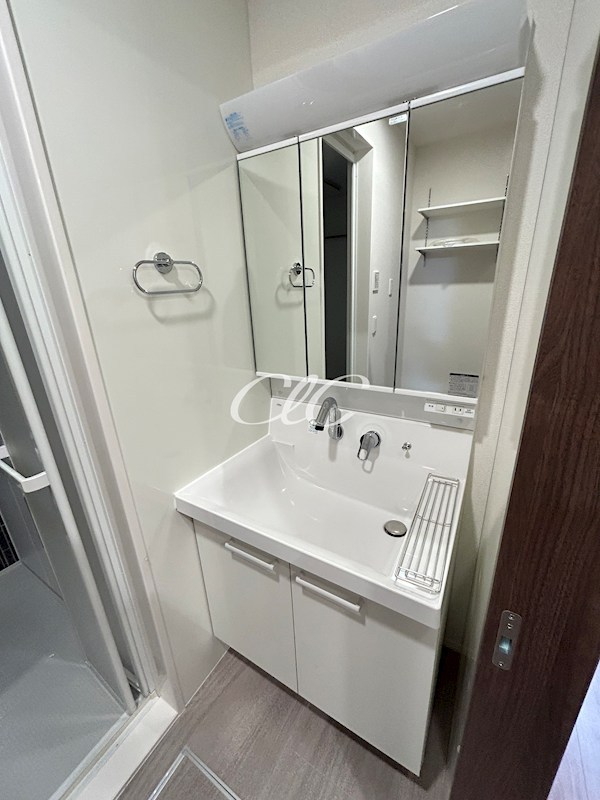 カサベルテ鹿骨 その他1