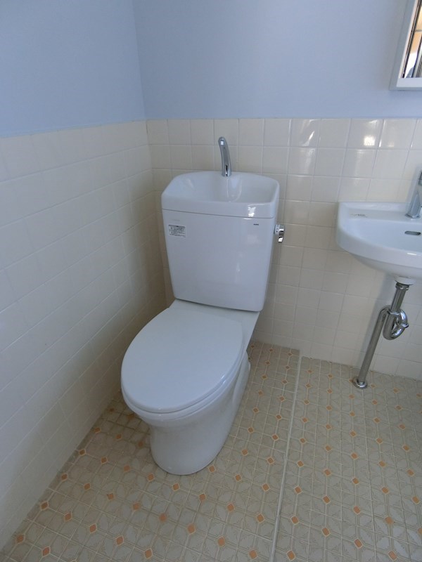 ハイネス大平  その他3