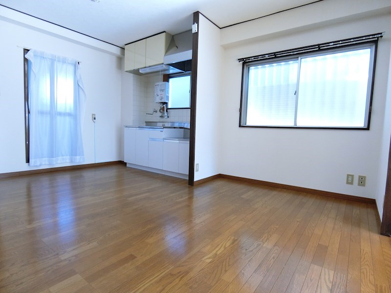 ハイネス大平  リビング