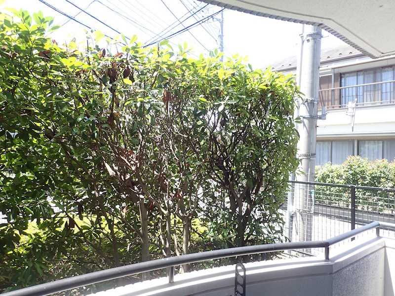 プレミール佐藤 その他4