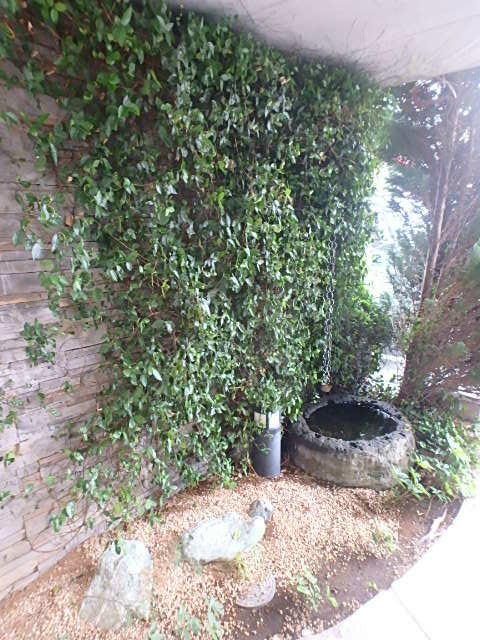 アルトジャルダン その他外観4