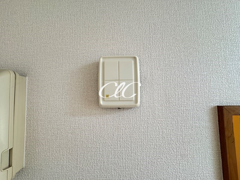 グッドラックシェル その他5