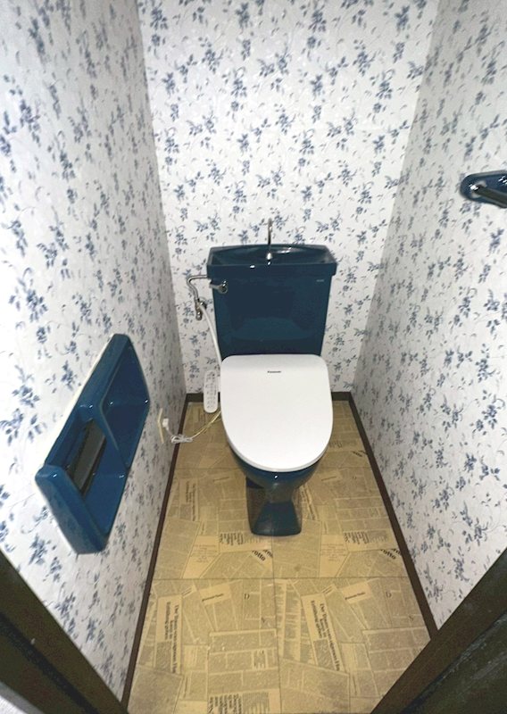 カーソルサヴァリンナ その他1