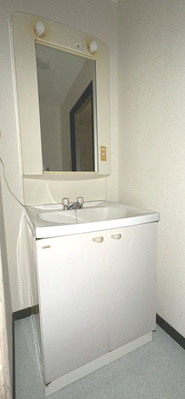 カーソルサヴァリンナ その他2