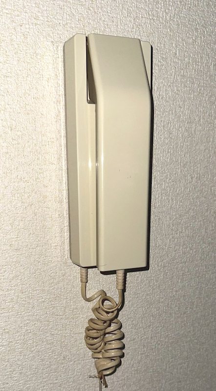 カーソルサヴァリンナ その他5