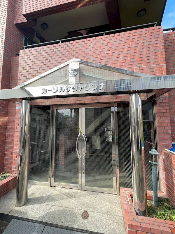 カーソルサヴァリンナ その他6