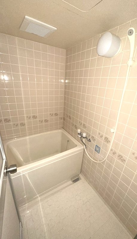 カーソルサヴァリンナ 風呂画像