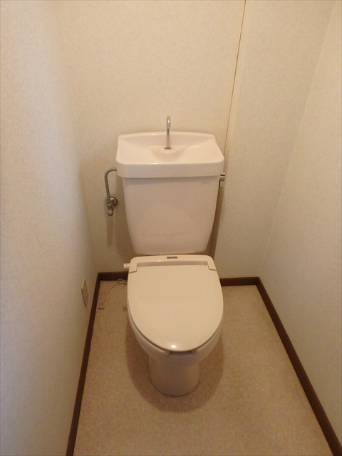 アムールサクライ その他4