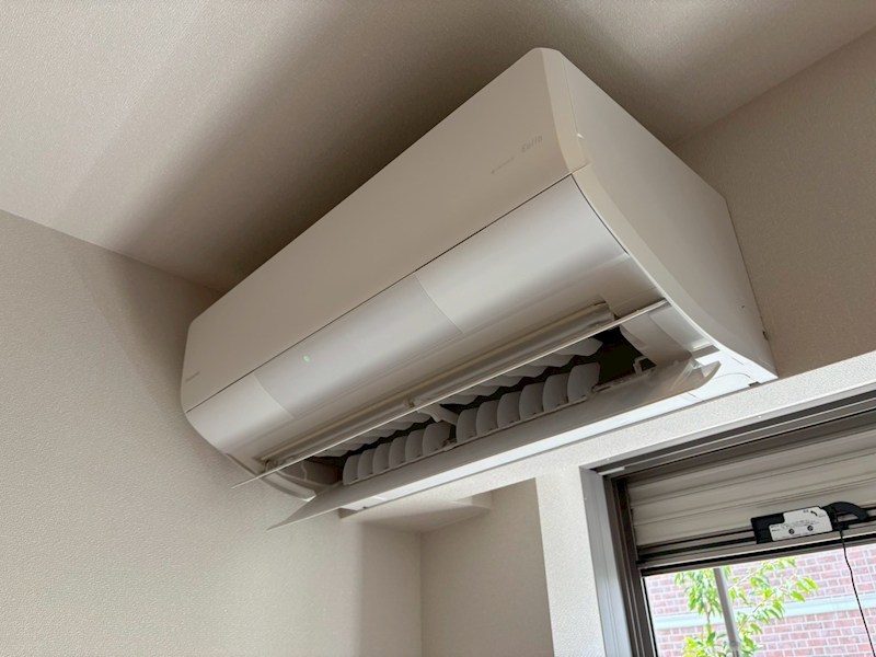 ｌ&amp;rsquo;ａｍｉ　ｄｅ　Ｌｉｏｎ その他4