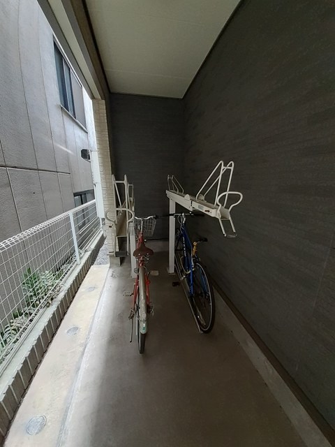 ラビット・イヤー・アイリス その他7