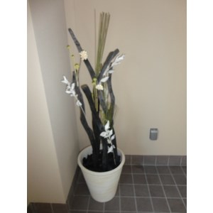 アーバンレックス西新井Ⅲ その他外観3