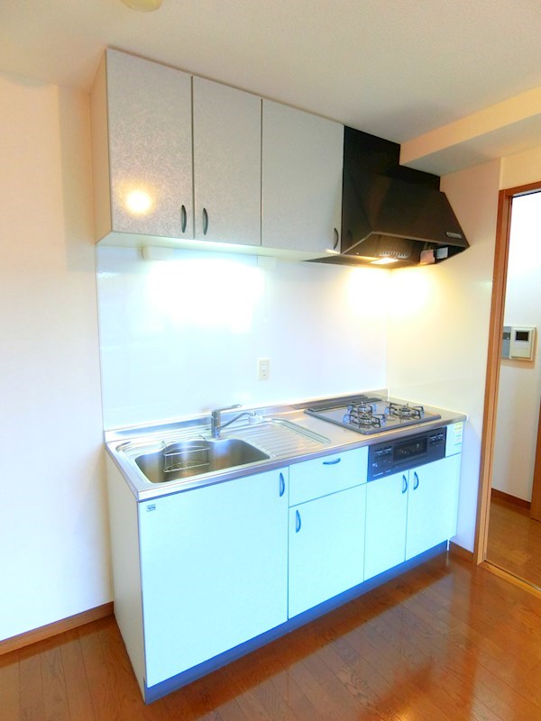 ヴィーナステージ その他11