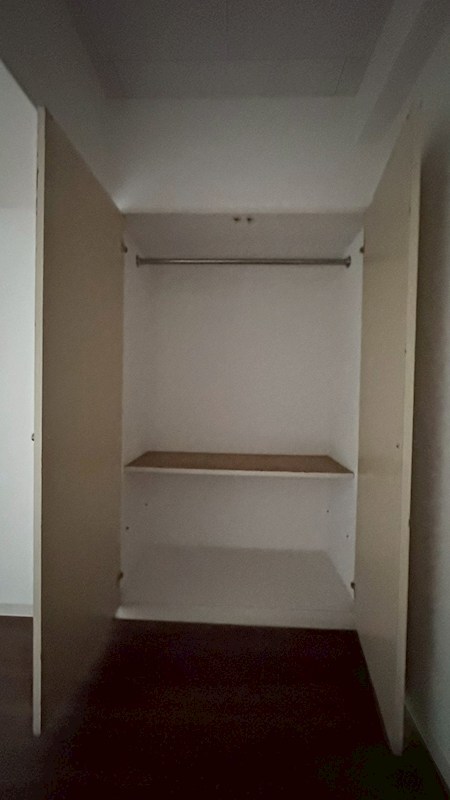 レピドール福田Ⅱ その他3