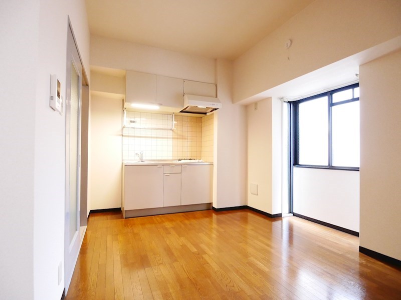 メゾンドリプレット リビング