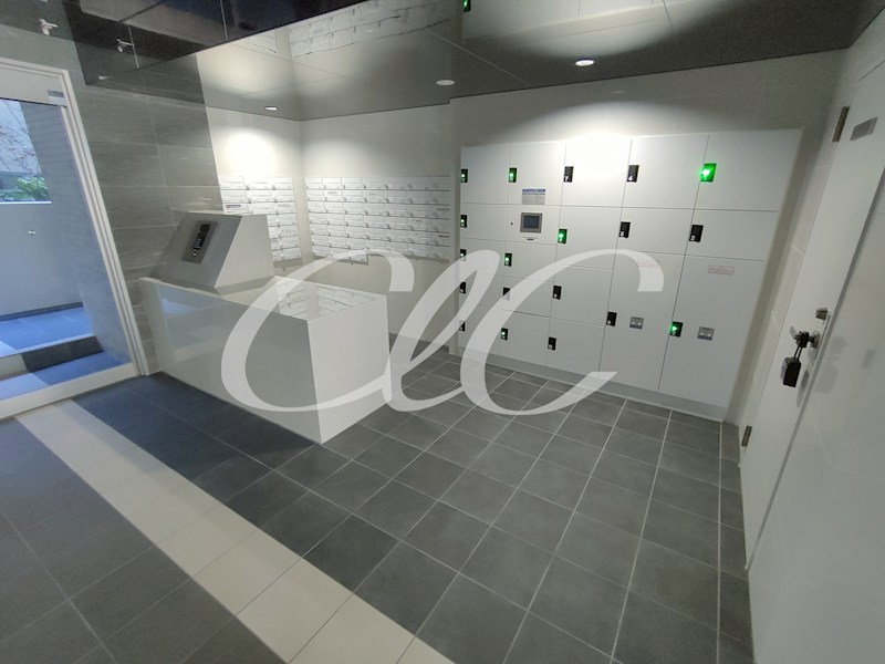 アルファコート西新井 その他5