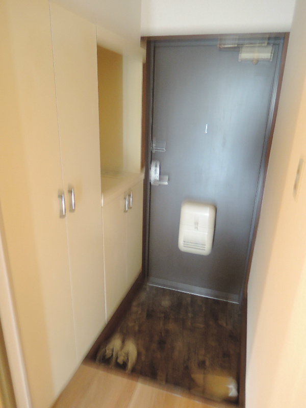 クレセントパレス 玄関