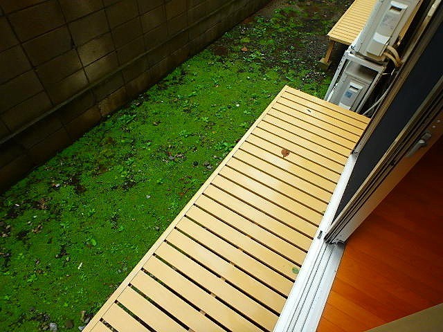 ワコーヴィレッジ ベランダ