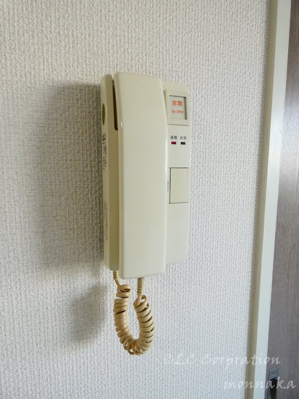 ＰＡＬＡＺＺＯ  その他1