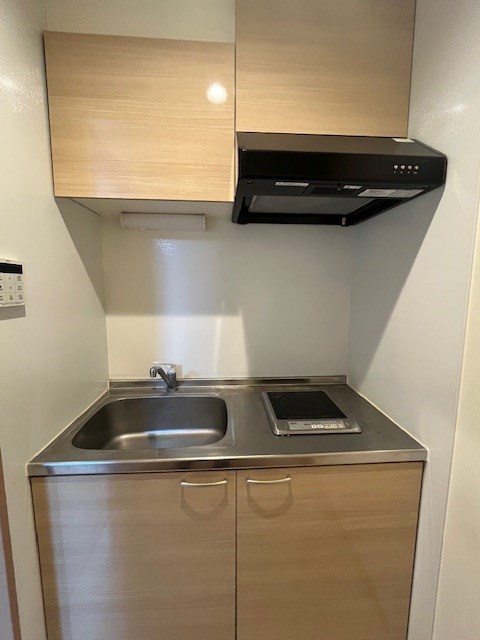 ラプレジオ  キッチン