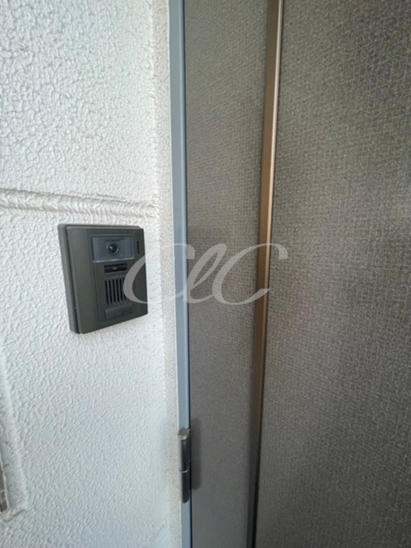 キャニオンベリー その他5