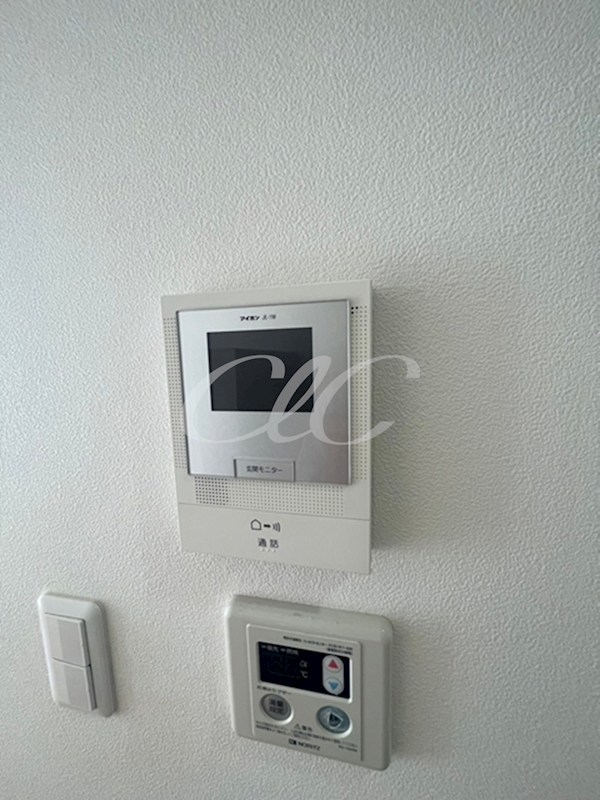 キャニオンベリー その他6