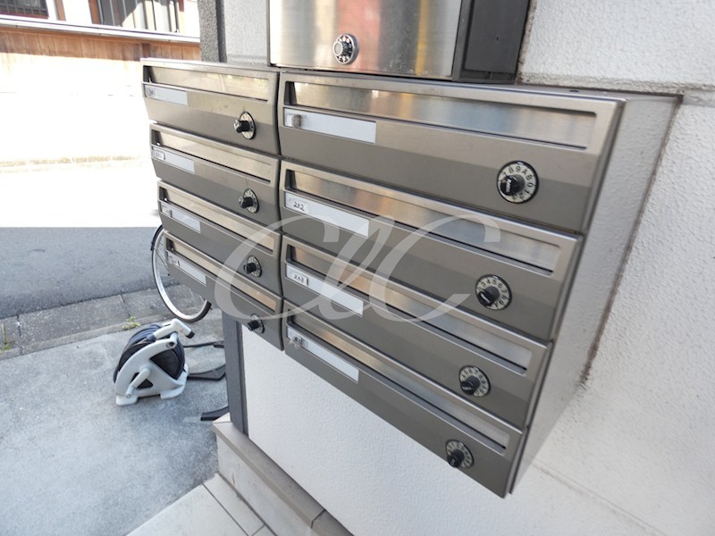 キャニオンベリー その他7