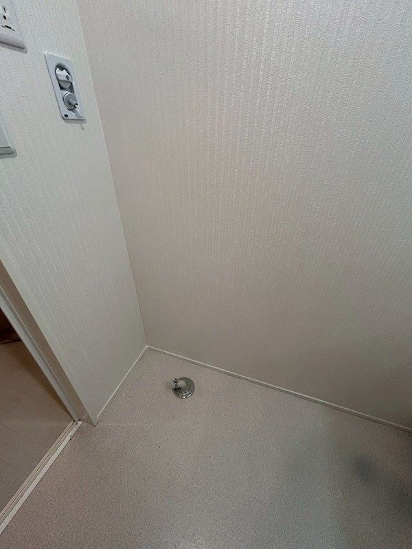 グルナディエ  その他4