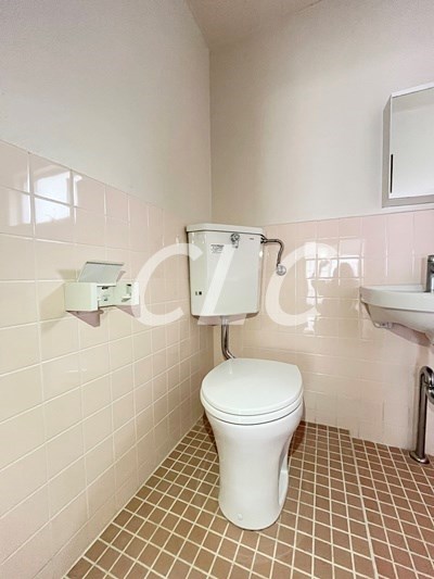 ハイネス大平 その他2