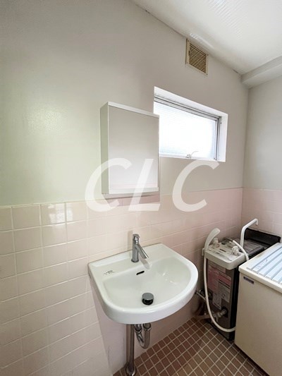 ハイネス大平 その他3