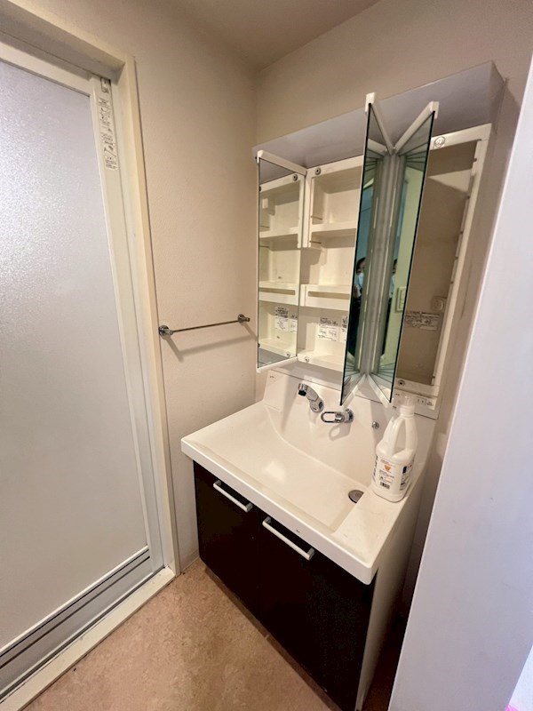 Verdesian その他5