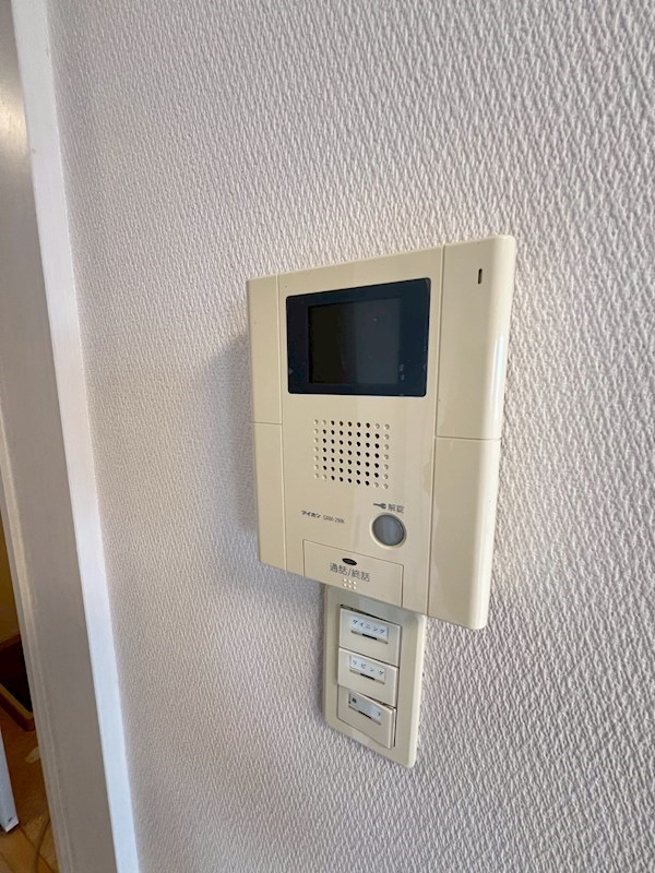 Verdesian その他6